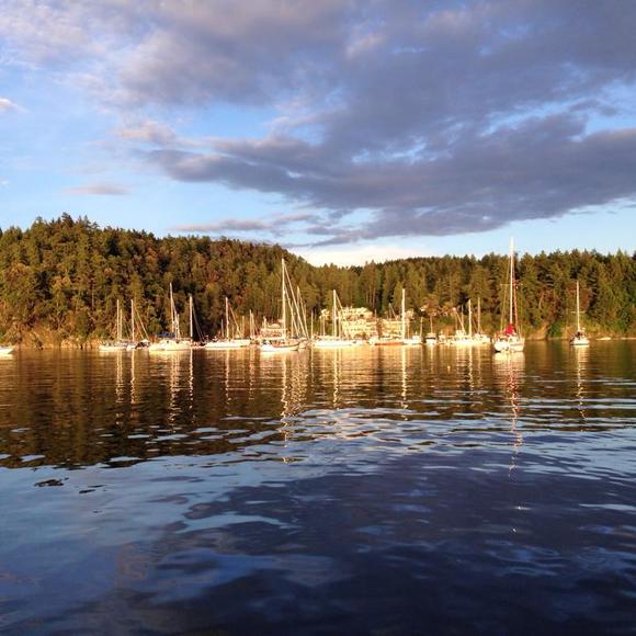 Meet your Posher, David - Picture 1 of 1